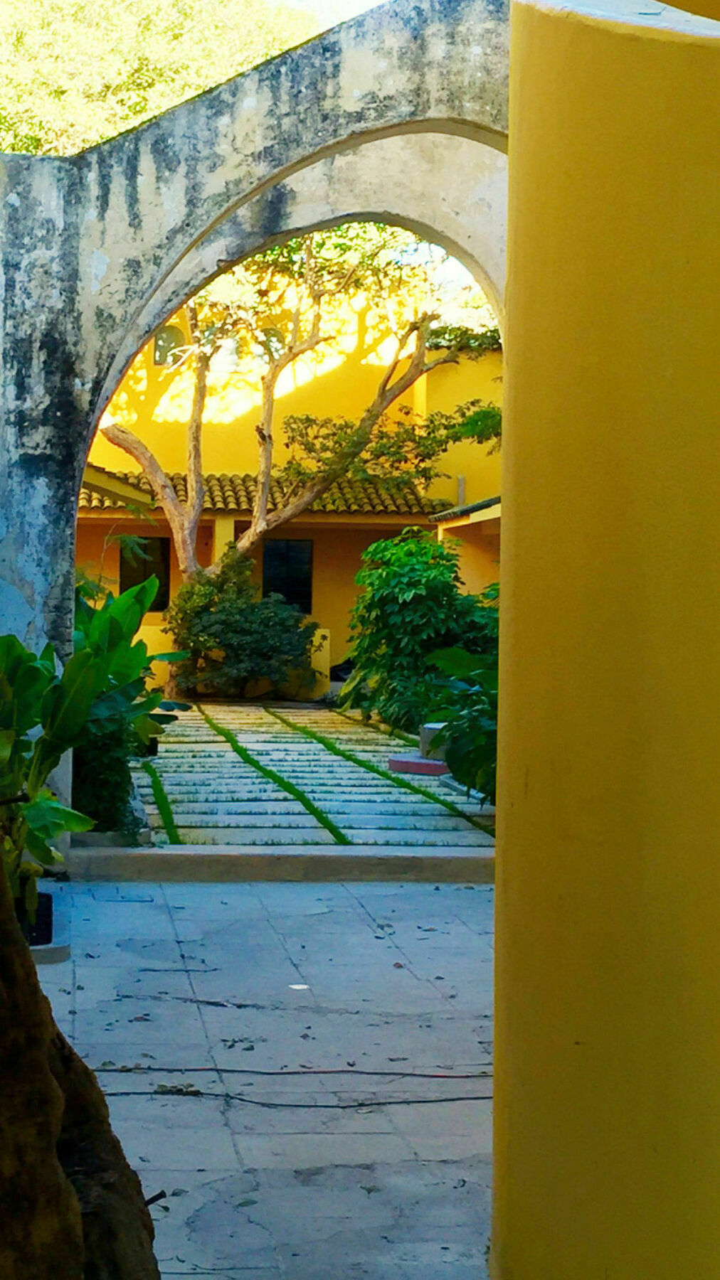 Bungalows Demetria Guadalajara Exterior photo